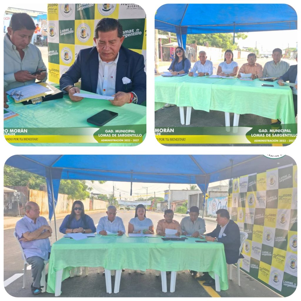 Sesión Ordinaria del Concejo Municipal 015